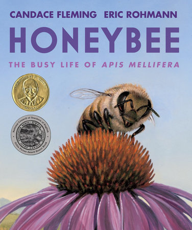 Honeybee: The Busy Life of Apis Mellifera by Candace Fleming, Illustrated by Eric&nbsp;Rohman